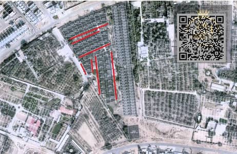 阿尔扎哈亚， 阿治曼 住宅地块待售 - WhatsApp Image 2025-06-25 at 4.53. 48 PM - Copy (4). jpeg