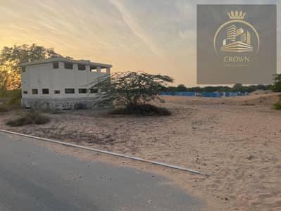 Industrial Land for Sale in Al Hamriyah, Sharjah - WhatsApp Image 2024-12-30 at 6.59. 26 PM (4). jpeg