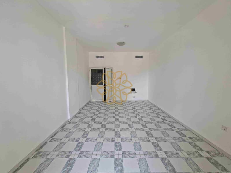 6 13085. jpg