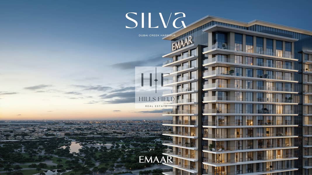 3 SILVA_DCH_IMAGE02. jpg