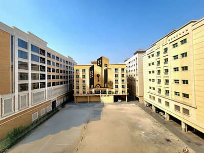 2 Bedroom Flat for Rent in Muwaileh Commercial, Sharjah - 20250730_152900. jpg