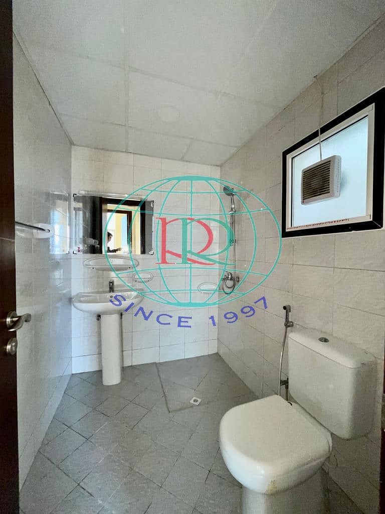 5 20230116167385985612813290. jpeg