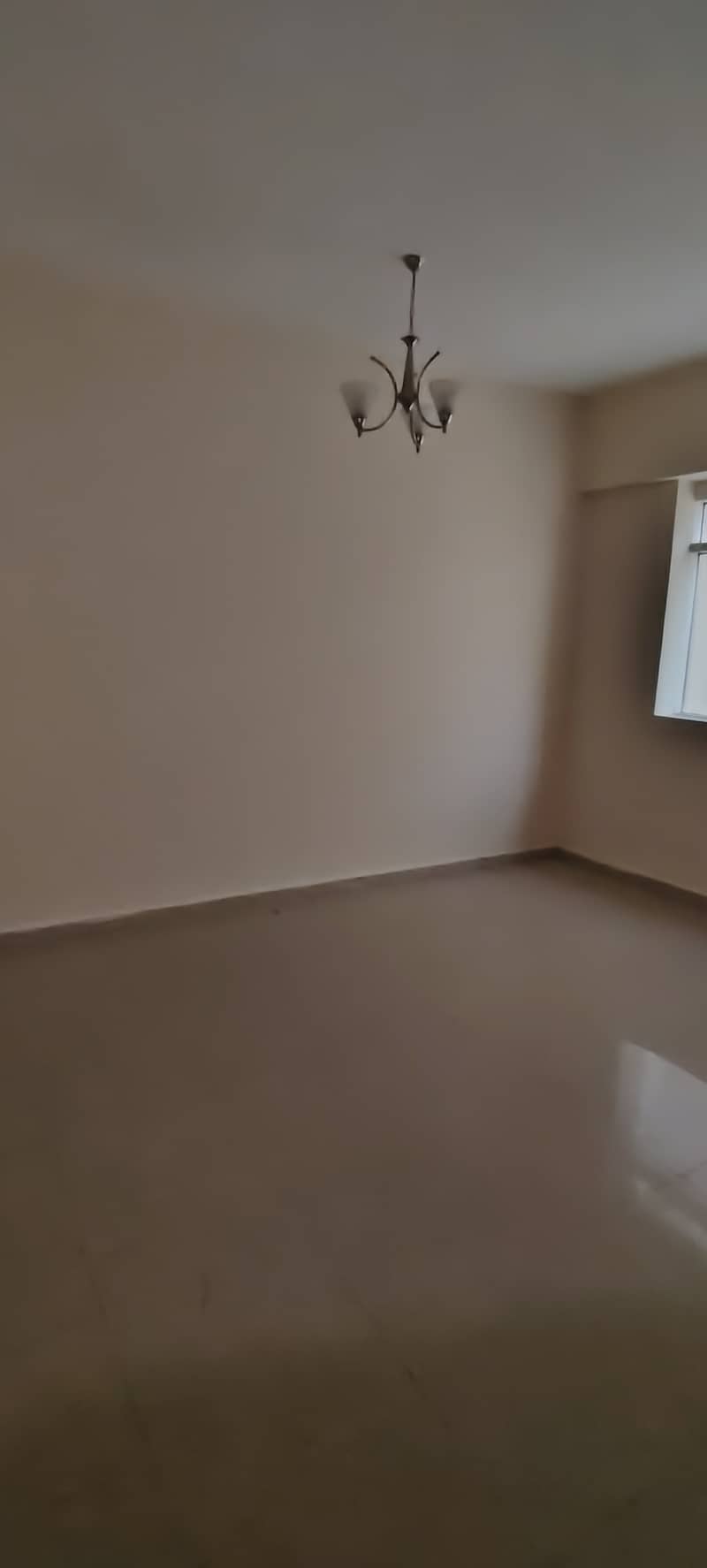 3 1000270763. jpg
