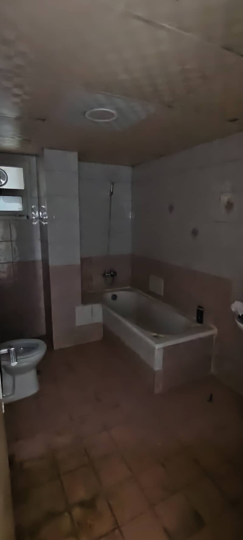 5 1000270795. jpg