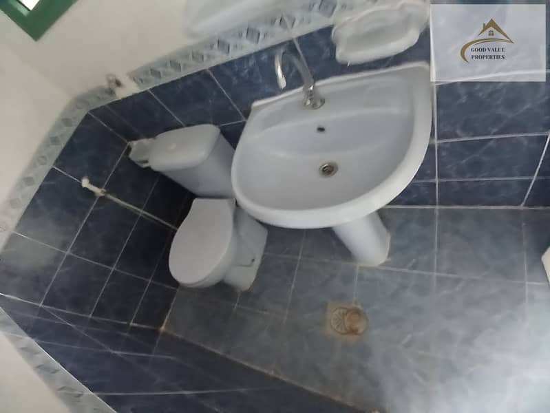 7 1000031838. jpg