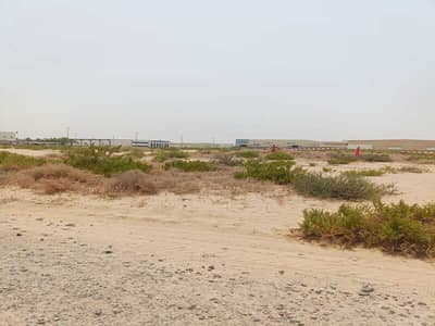 Industrial Land for Sale in Industrial Area, Sharjah - WhatsApp Image 2024-08-08 at 9.30. 50 AM (4). jpeg