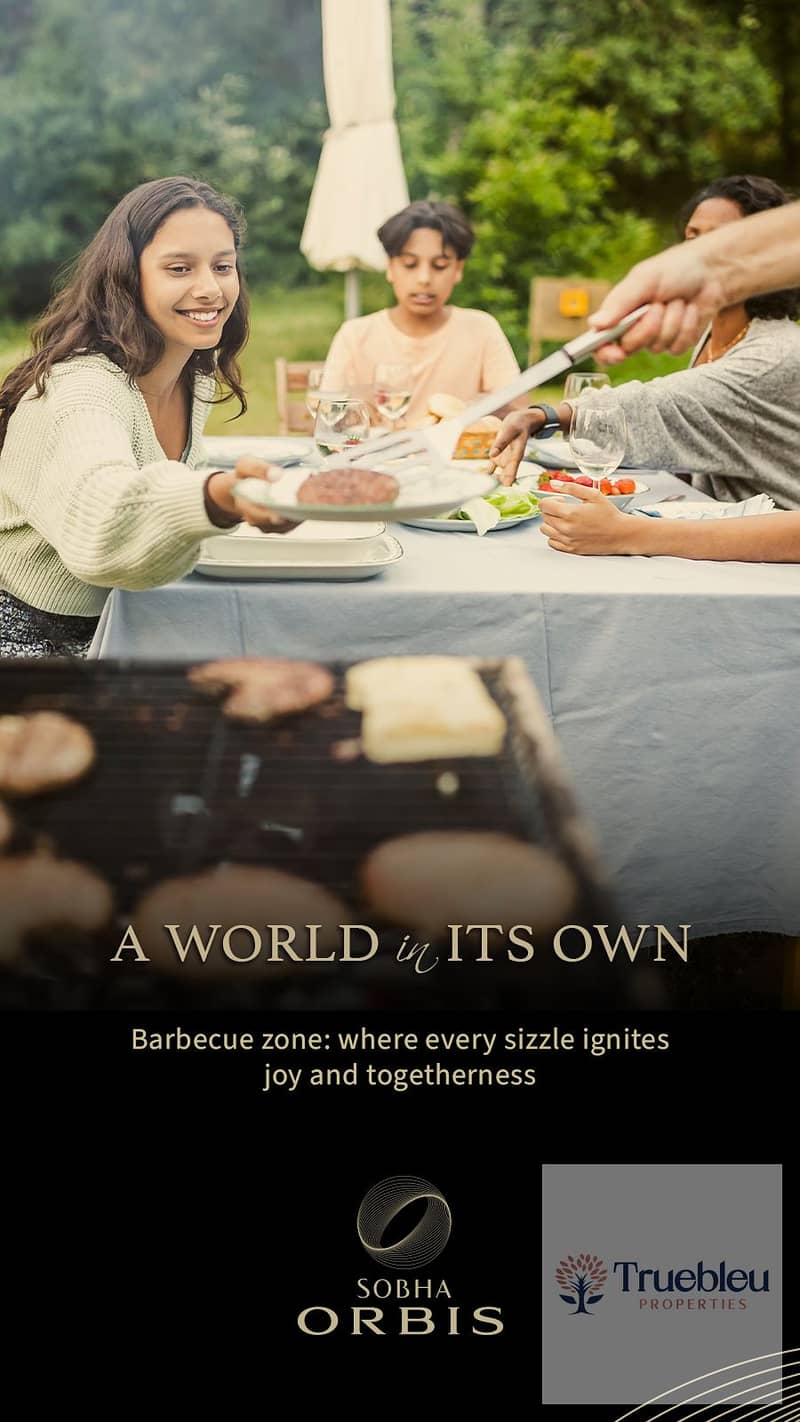 10 BBQ Zone. jpg