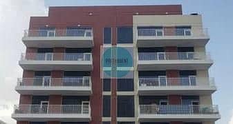 12 IMG-20250804-WA0078. jpg