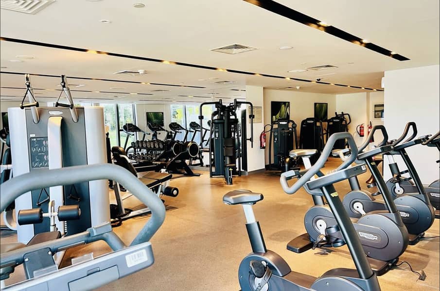 36 Gym 2. png