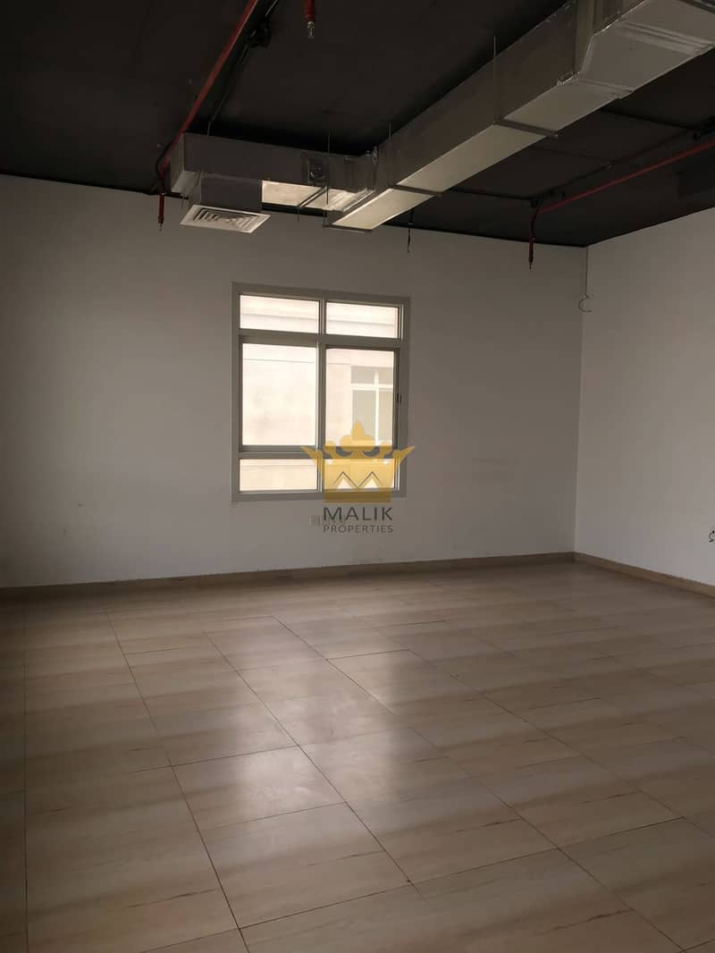 5 04. jpg