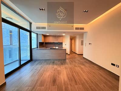 1 Bedroom Flat for Rent in Liwan 2, Dubai - 1000033398. jpg