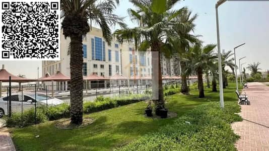 استوديو  للبيع في الياسمين، عجمان - IMG_3813. jpg