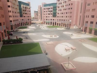شقة في ديسكفري جاردنز 27000 درهم - 4237147 شقة في ديسكفري جاردنز 27000 درهم - 4237147