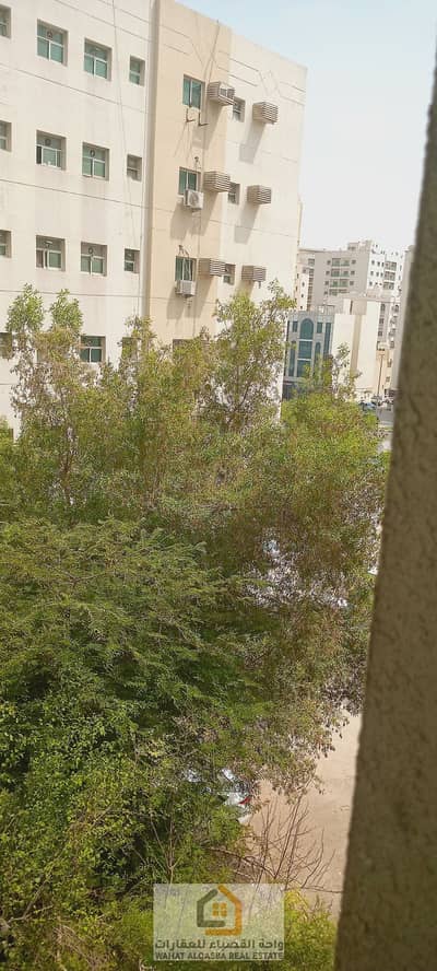 阿尔娜巴， 夏尔迦 单身公寓待租 - ٢٠٢٥٠٧٢٨_١٤٢٤٤٠. jpg