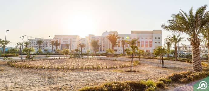 قرية جميرا الدائرية قرية جميرا الدائرية