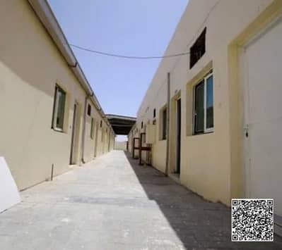 سكن عمال  للايجار في الجرف، عجمان - WhatsApp Image 2025-08-07 at 3.33. 13 AM (1). jpeg