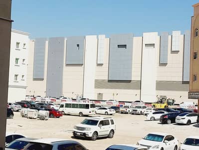 استوديو  للايجار في مويلح، الشارقة - 20241103_112617. jpg