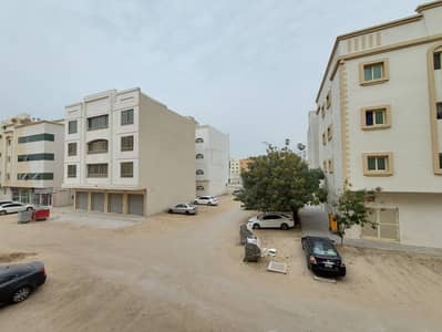 استوديو  للايجار في مويلح، الشارقة - 20250224_152921. jpg