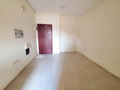 استوديو  للايجار في مويلح، الشارقة - 20250109_104949. jpg