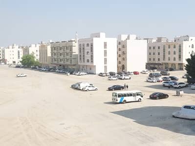 فلیٹ 1 غرفة نوم للايجار في مويلح، الشارقة - 20241114_120319. jpg