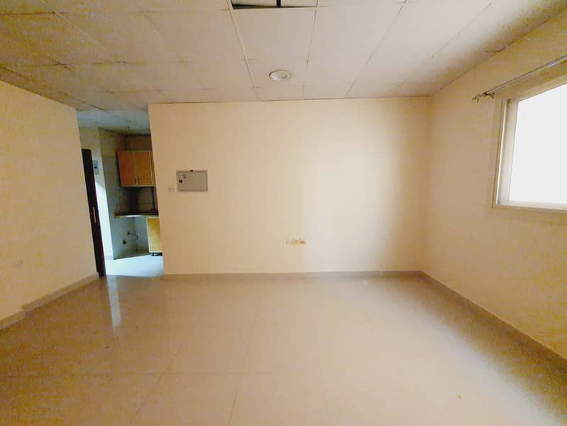 7 20250123_141302. jpg