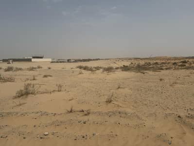 阿尔萨斯， 夏尔迦 工业用地待售 - صجعة م 3. jpg