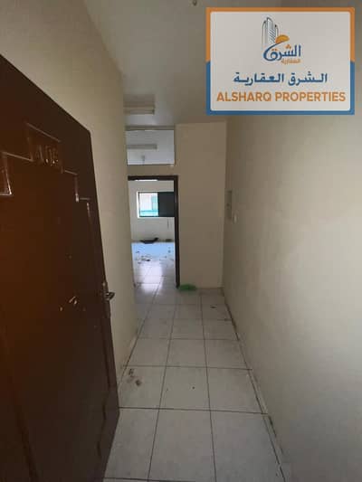 فلیٹ 1 غرفة نوم للايجار في كورنيش عجمان، عجمان - IMG-20250807-WA0174. jpg