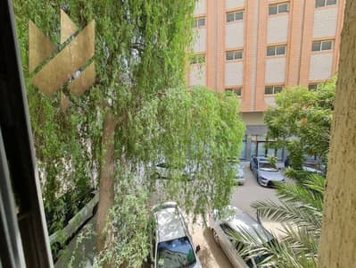 Студия в аренду в Мувайли Коммерческая, Шарджа - IMG-20250806-WA0160. jpg
