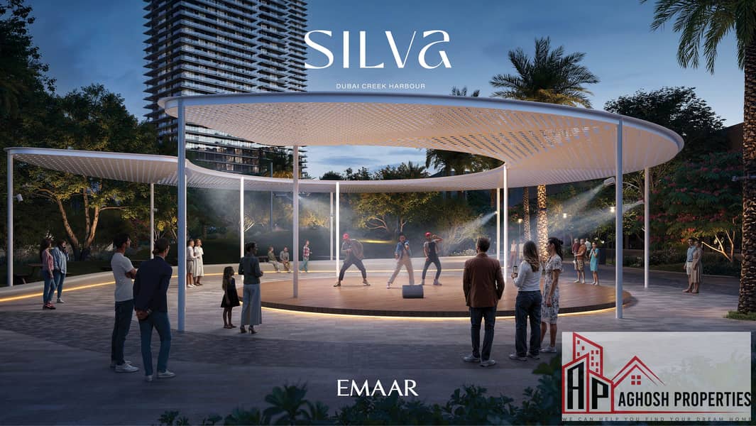 4 SILVA_DCH_IMAGE04. jpg