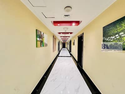 阿尔纳赫达（迪拜）街区， 迪拜 1 卧室公寓待租 - IMG-20230929-WA0006. jpg