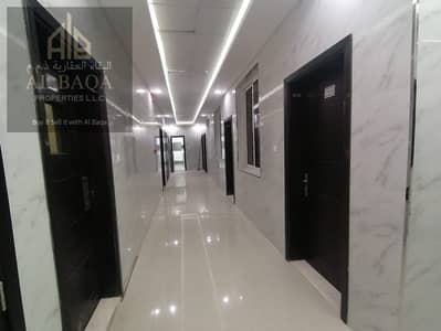 2 Bedroom Apartment for Rent in Al Jurf, Ajman - WhatsApp Image 2024-08-09 at 11.29. 09 AM. jpeg