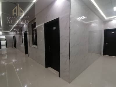2 Bedroom Apartment for Rent in Al Jurf, Ajman - WhatsApp Image 2024-08-09 at 11.29. 08 AM. jpeg