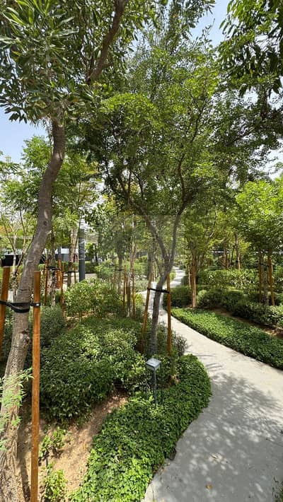 蒂拉尔城， 夏尔迦 4 卧室联排别墅待售 - WhatsApp Image 2025-08-10 at 1.52. 21 PM. jpeg