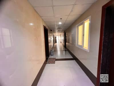 Studio for Rent in Al Rashidiya, Ajman - WhatsApp Image 2025-08-10 at 20.21. 20_b4fe341d. jpg