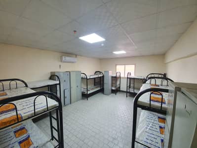 Labour Camp for Rent in Mussafah, Abu Dhabi - WhatsApp Image 2023-01-23 at 12.25. 57 PM (1). jpeg