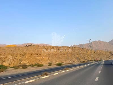 ارض سكنية  للبيع في الرمس، رأس الخيمة - 33129fbc-ee6b-446a-95d2-e0f179f81537. jpeg