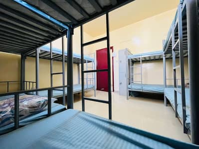 Labour Camp for Rent in Mussafah, Abu Dhabi - 1 (13). jpeg