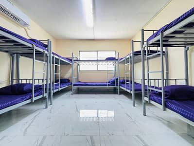 Labour Camp for Rent in Mussafah, Abu Dhabi - IMG-20250613-WA0136. jpg