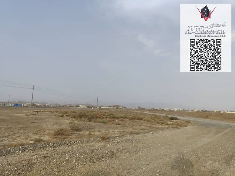 4 WhatsApp Image 2025-08-11 at 14.12. 43_566fb2a3. jpg