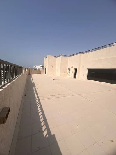 بنتهاوس 4 غرف نوم للايجار في القليعة، الشارقة - IMG-20250811-WA0150. jpg