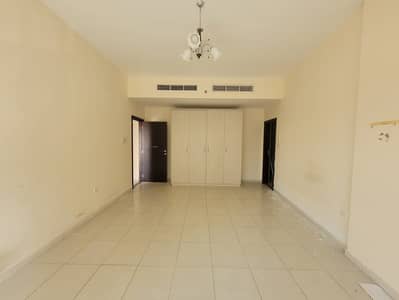 2 Bedroom Apartment for Rent in Dubai Silicon Oasis (DSO), Dubai - 6afb0665-bd28-4da5-8c40-3a59434c73b9. jpg