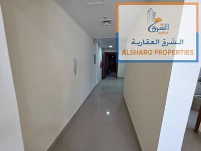 استوديو  للايجار في الراشدية، عجمان - IMG-20250811-WA0051. jpg