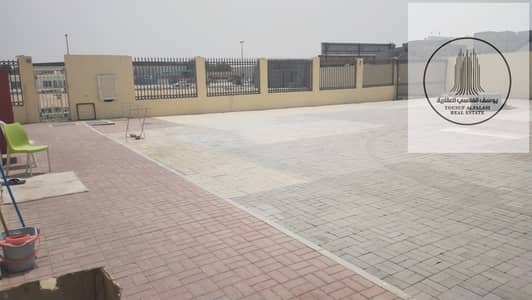 ارض صناعية  للايجار في صناعية الصجعة، الشارقة - WhatsApp Image 2025-08-11 at 19.58. 31. jpeg
