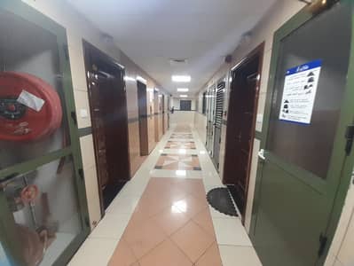 阿布-沙加拉， 夏尔迦 2 卧室公寓待租 - 1000257317. jpg