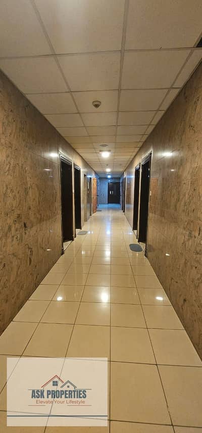 阿布-沙加拉， 夏尔迦 单身公寓待租 - 1000232290. jpg