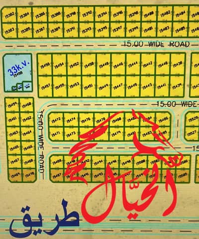 Al Belaida， 夏尔迦 住宅地块待售 - WhatsApp Image 2025-08-14 at 11.11. 19 AM. jpeg