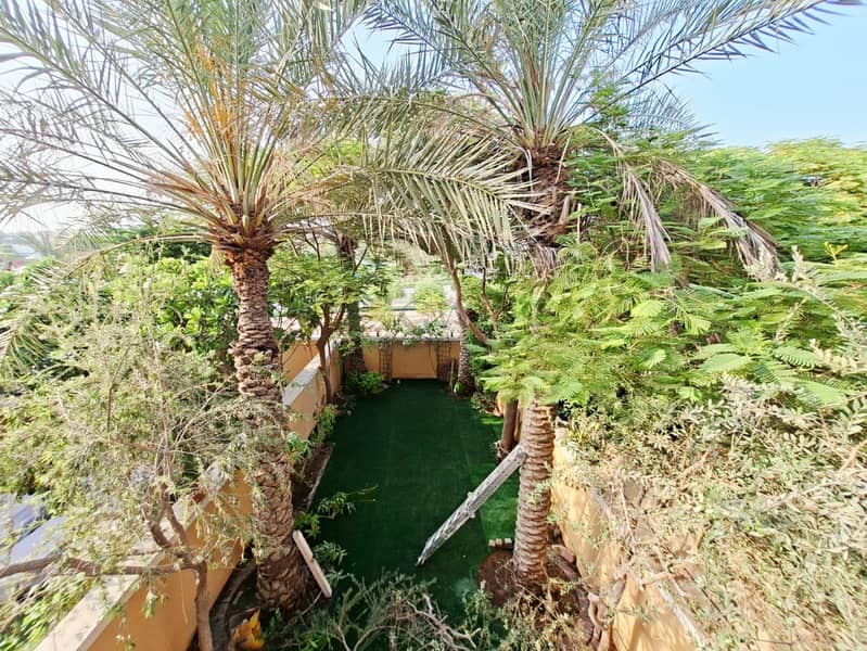 Single Row | Close to Park | Peaceful and Quite - Image 11