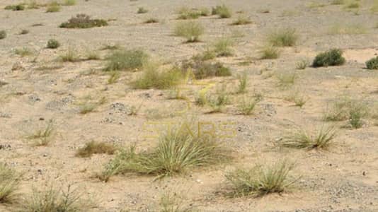 Plot for Sale in Hoshi, Sharjah - WhatsApp Image 2025-08-14 at 16.32. 55 (1). jpeg