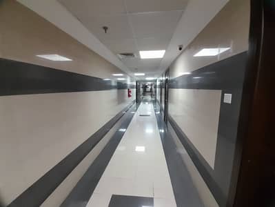阿尔瓦达街， 夏尔迦 写字楼待租 - 20250814_124953. jpg