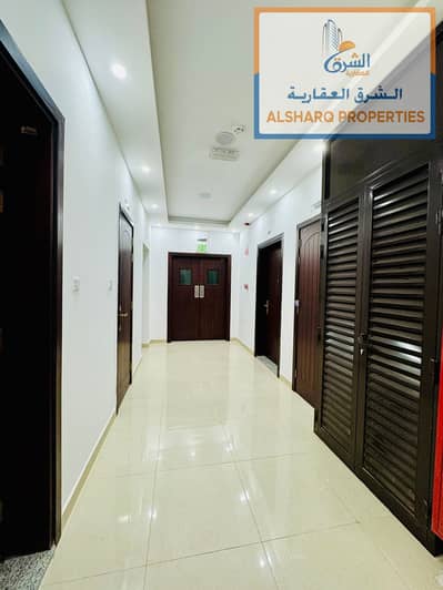 1 Bedroom Apartment for Rent in Corniche Ajman, Ajman - IMG-20250207-WA0151. jpg